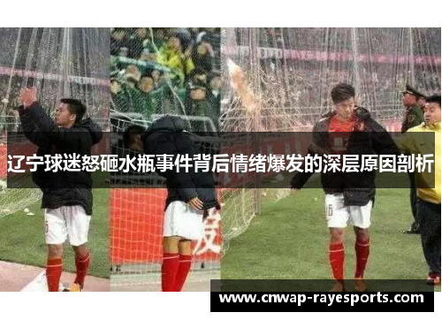 辽宁球迷怒砸水瓶事件背后情绪爆发的深层原因剖析