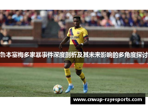 鲁本塞梅多家暴事件深度剖析及其未来影响的多角度探讨