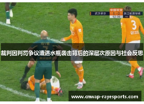 裁判因判罚争议遭遇水瓶袭击背后的深层次原因与社会反思