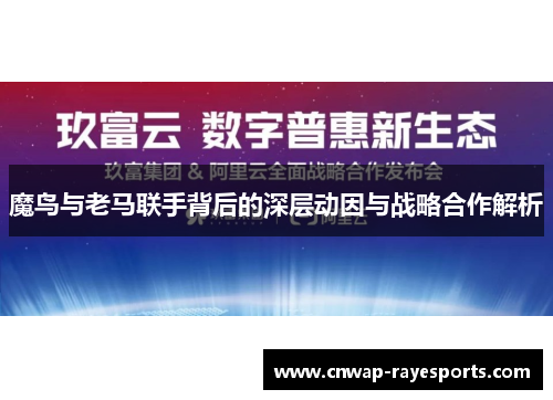 魔鸟与老马联手背后的深层动因与战略合作解析